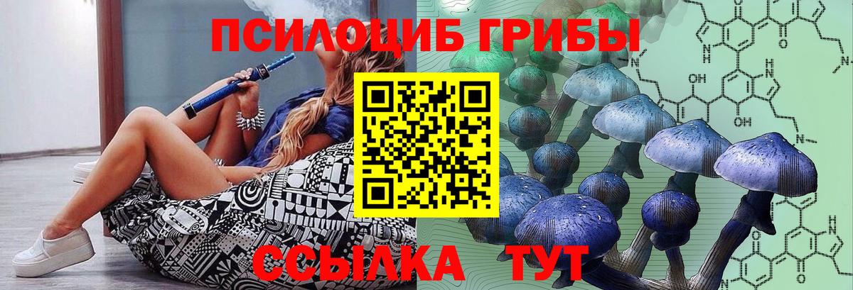 Галлюциногенные грибы мицелий Биробиджан