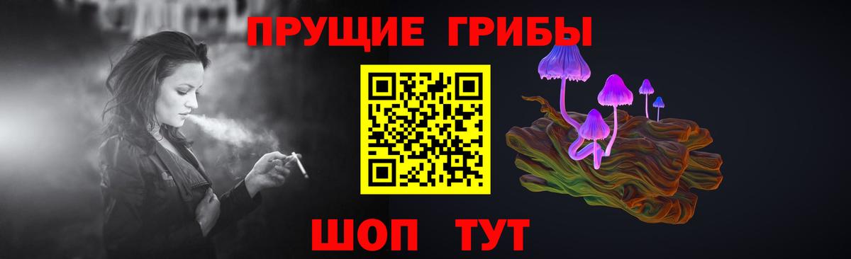 Биробиджан  Галлюциногенные грибы Psilocybe  Вход с VPN 